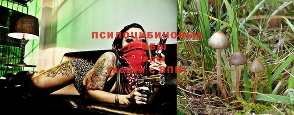 эйфоретик Абаза